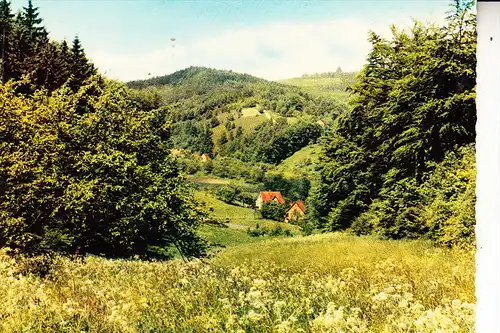 4930 DETMOLD, Lippische Schweiz, Hermannsdenkmal