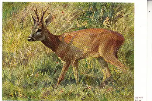 JAGD - HUNTING - JACHT - CHASSE - CACCIA - CAZA - LOWIECTWO - Rehbock - Künstler-Karte Heinrich Schütz, Einriss