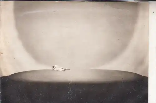 MUSIK - RICHARD WAGNER / Bayreuth -Siegfried 1954, III. Akt