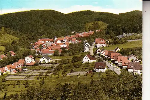 3423 BAD SACHSA - STEINA, Ortsansicht, handcoloriert