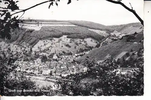 5583 ZELL - BRIEDEL, Panorama, kl. Druckstell