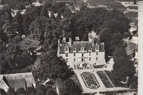 F 37210 NOIZAY, Le Chateau, Vue airienne, CPSM