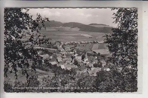 5948 SCHMALLENBERG - BÖDEFELD, Panoram 1958