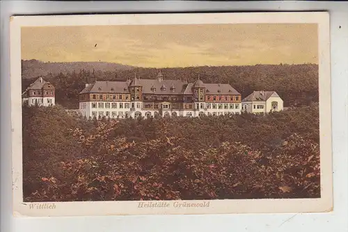 5560 WITTLICH, Heilstätte Grünewald, 1917