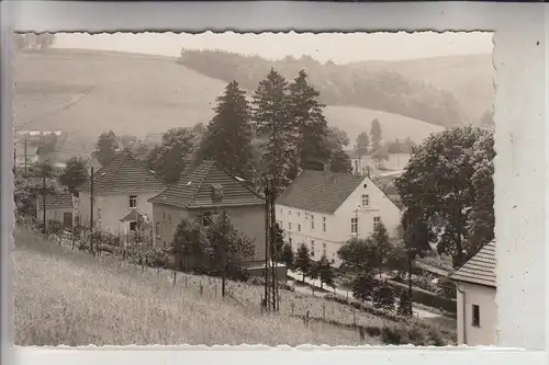 5884 HALVER - GRÜNENBAUM, Gasthaus Grünenbaum, Photo-AK