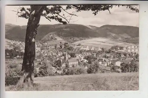 0-6406 STEINACH, Panorama, 1961