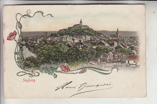 5200 SIEGBURG, Panorama, 1904, dekorativ