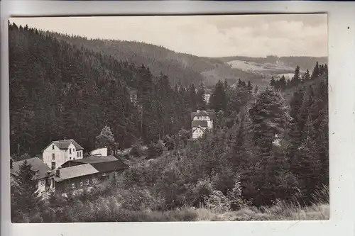 0-5804 FRIEDRICHRODA, Blick ins Kühle Tal, 1960