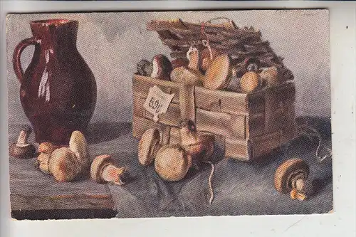 BOTANIK - PILZE / Champignons / Mushrooms / Funghi / Paddestoelen / Setas -  Künstler-Karte, 1906