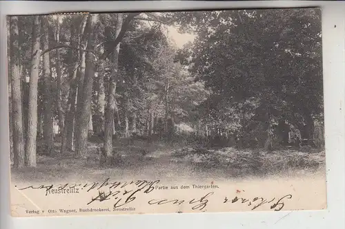 0-2080 NEUSTRELITZ, Partie aus dem Thiergarten, 1905