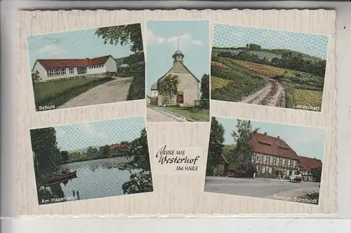 3355 KALEFELD - WESTERHOF, u.a. Pension Bornholdt