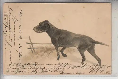 JAGD - HUNTING - JACHT - CHASSE - CACCIA - CAZA - LOWIECTWO - Künstler-Karte Vorstehhund, 1908