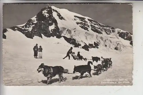 HUNDE - Schlittenhunde / Polarhunde, Jungfraujoch / CH, 1931
