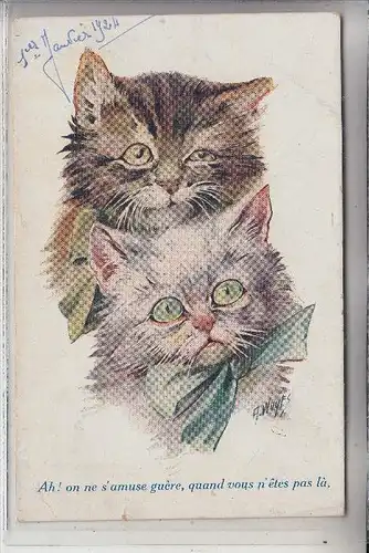 TIERE - KATZEN / Cats / Chat / Gato / Gatto / Kat - Künstler / Artist Wuyts