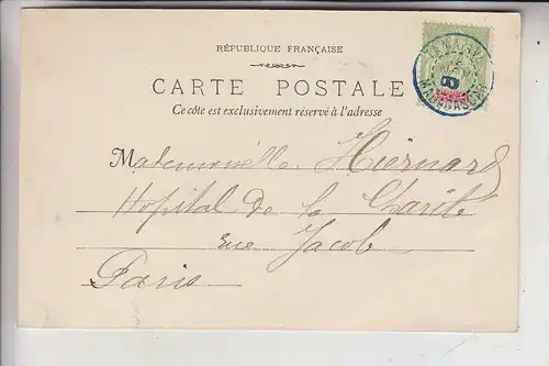 MADAGASKAR - Jeune Cacaoyer, 1900