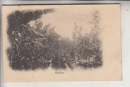 MADAGASKAR - Vanillerie