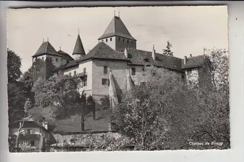 CH 1807 BLONAY, Chateau Blonay
