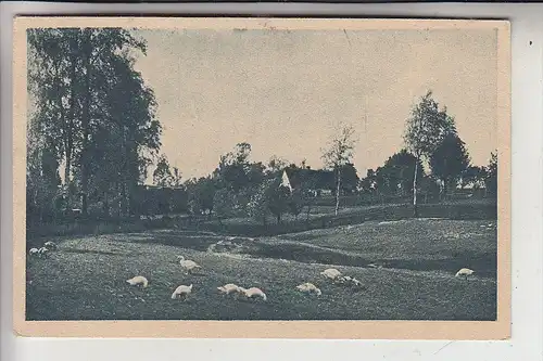 OBER-SCHLESIEN, KNIEKARM / NIEKARMIA, (Gleiwitz), "Vor dem Dorf"