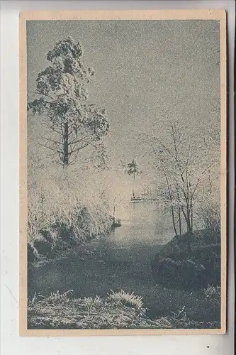 OBER-SCHLESIEN, KATTOWITZ / KATOWICE, Rauhreif im Südpark