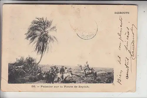 DSCHIBUTI / DJIBOUTI, Palmier sur la Route de Zeylah, 1903