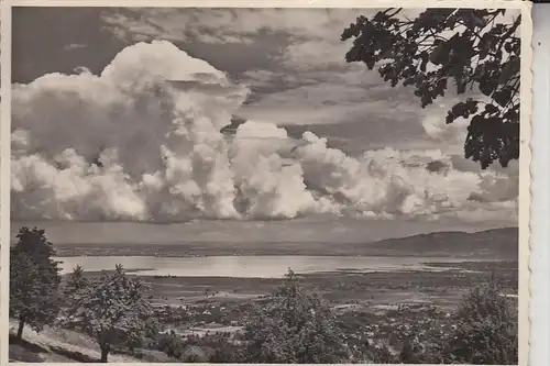 CH 9428 WALZENHAUSEN, Blick auf den Bodensee, 1958