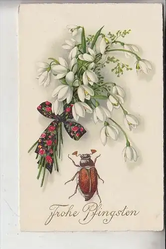 PFINGSTEN - MAIKÄFER, Blumenstrauss