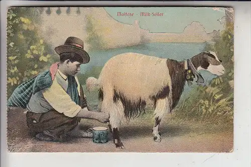 TIERE - ZIEGEN / Goats / Geiten / Chevres / Capras / Cabras - Malta Milk seller