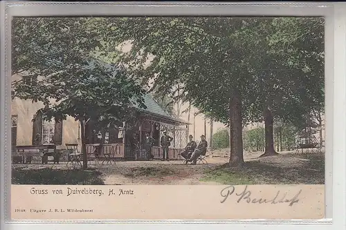 4193 KRANENBURG, Gruß vom Duivelsberg, 1904, color