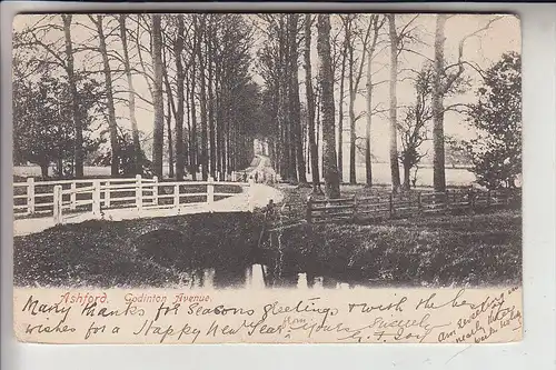 ENGLAND - KENT - ASHFORD, Godinton Avenue, 1904