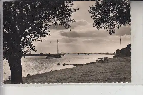 4220 DINSLAKEN, Partie bei Götterswickerham, 1955