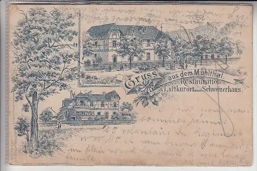 6109 MÜHLTAL, Gruss aus dem Mühltal, Restauration & Luftkurort zum Schweizerhaus, 1895