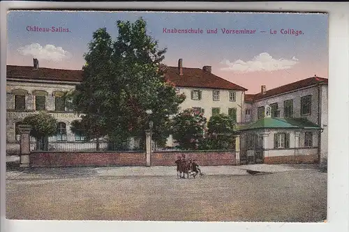 F 57170 CHATEAU-SALINS, Knabenschule und Vorseminar, Le Coillege