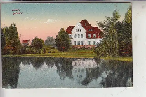 3040 SOLTAU, Böhmetal