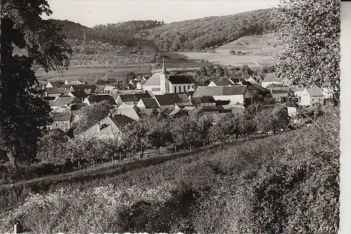 5527 IRREL, Ortsansicht