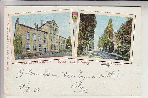 5520 BITBURG, Landwirtschaftliche Schule & Trierer Strasse, 1902, color