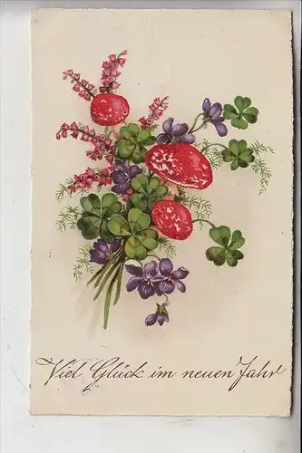 BOTANIK - PILZE / Champignons / Mushrooms / Funghi / Paddestoelen / Setas - Neujahrskarte, 1933