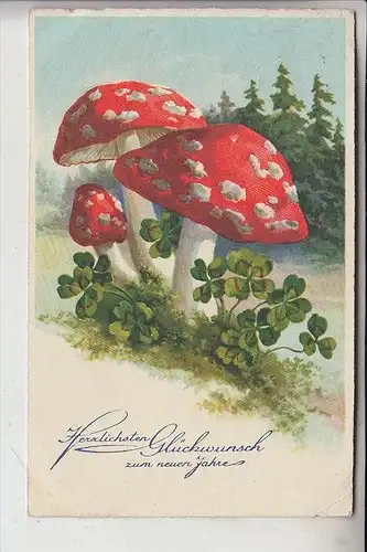 BOTANIK - PILZE / Champignons / Mushrooms / Funghi / Paddestoelen / Setas - Neujahrskarte, 1933