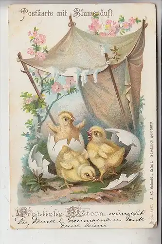 OSTERN - Küken - Postkarte mit Blumenduft, 1903, Lithographie