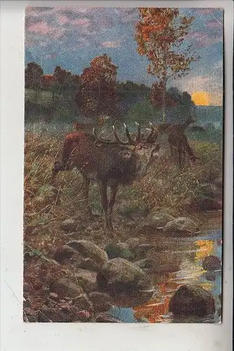 JAGD / Hunting / Chasse / Caccia / Jacht / Caza / Lowiectwo - Hirsch, Künstler-Karte Hans W. Schmidt, 1926