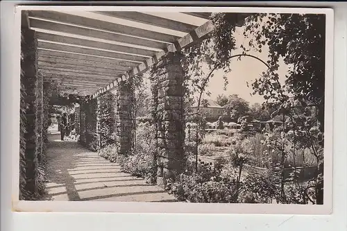 8000 MÜNCHEN - NYMPHENBURG, Botanischer Garten, Blick durch den laubengang, 1942