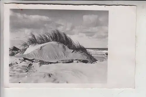 2972 BORKUM, Am Strand, 1949