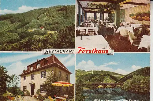 5980 WERDOHL, Restaurant "Forsthaus", 1965