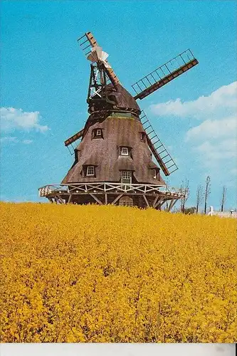 MÜHLE - WINDMÜHLE / Molen / Mill / Moulin - OSTHOLSTEIN