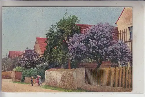 PHOTO - Photochromie