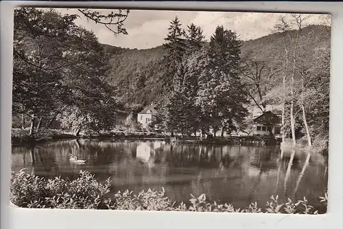 5582 BAD BERTRICH, Schwanenteich