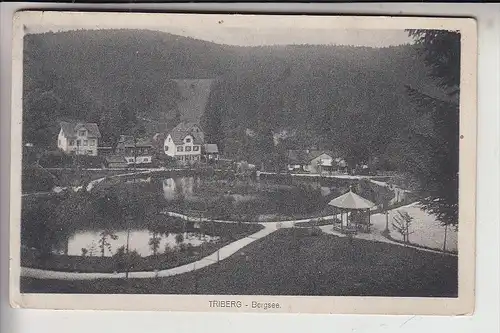 7740 TRIUBERG, Bergsee, 1917