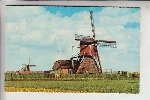 MÜHLE - WINDMÜHLE / Molen / Mill / Moulin - Hollandsche Molen