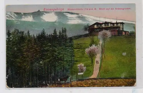 NIEDER-SCHLESIEN - AGNETENDORF / JAGNIATKOW, Bismarckhöhe, 1917