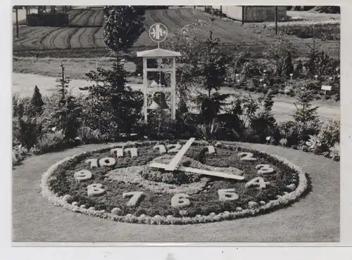 2200 ELMSHORN, Schaugarten Fa. Hartmann & Co., Blumenuhr