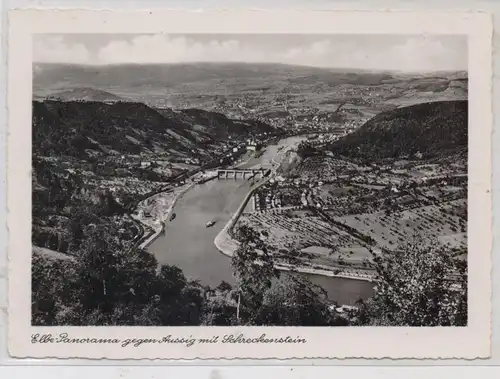 BÖHMEN & MÄHREN - AUSSIG / USTI NAD LABEM, Elbe, Schreckenstein, Verlag Exler - Wegstädtl